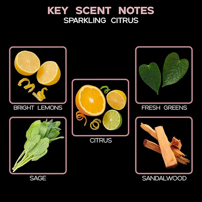 LOVSPA Reed Diffuser Set, Sparkling Citrus Scented Oil Diffuser with Sticks, Home Fragrance Accessories for Bathroom Shelf Decor, Aroma Diffusers for Home or Office Desk, USA Made