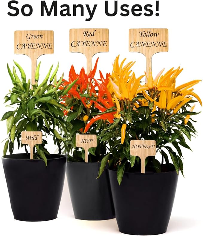 10 Pack 12 Inch Extra Tall Plant Labels Large Garden Markers Plant Name Tags for Flowers, Herbs, Vegatables, Seeds, Bulbs Easy to Read Larger Writing Area with Full Size Marker
