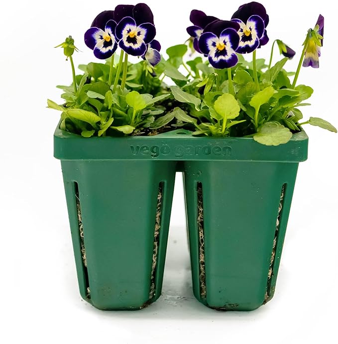 Vego garden Jumbo Seedling Trays Without Lids, 64 Pack Reusable Propagator Growing Starter Tray for Larger Plants, Heavy-Duty Plastic Germination Trays (4-Cell per Tray)