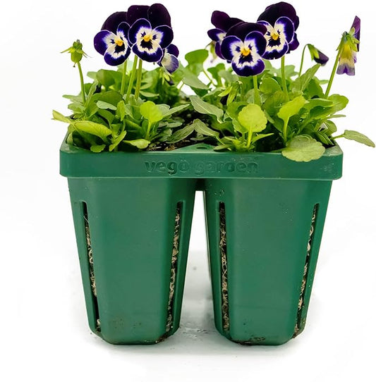 Vego garden Jumbo Seedling Trays Without Lids, 32 Pack Reusable Propagator Growing Starter Tray for Larger Plants, Heavy-Duty Plastic Germination Trays (4-Cell per Tray)