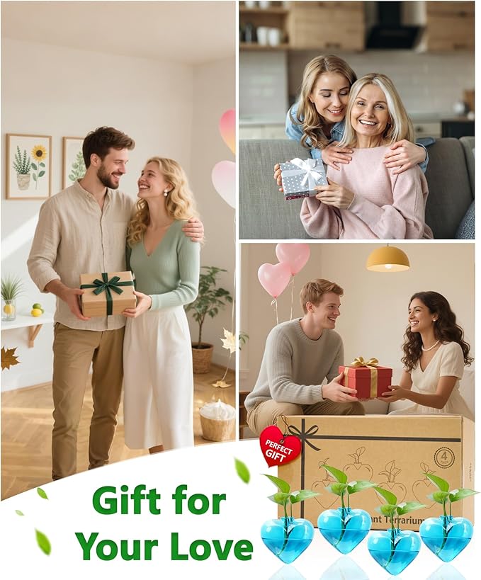 Nacome Wall Hanging Glass Planter Terrarium Plant Propagation Station, 4 Pack Heart Shape Vase for Hydroponic Home Office Garden Decor,Unique Gardening Gifts for Plant Lovers Women Mom(Blue)