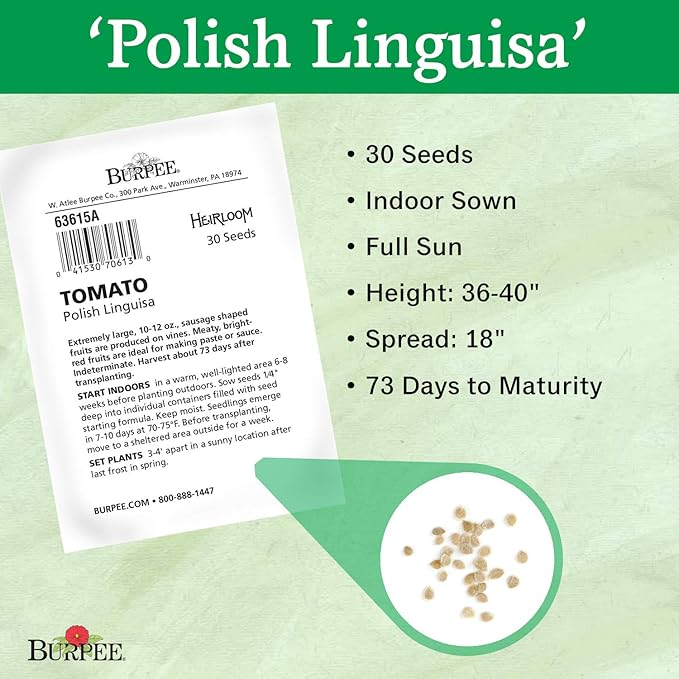 Burpee 'Polish Linguisa', Large Red Sauce & Paste Tomato, 30 Non-GMO Seeds