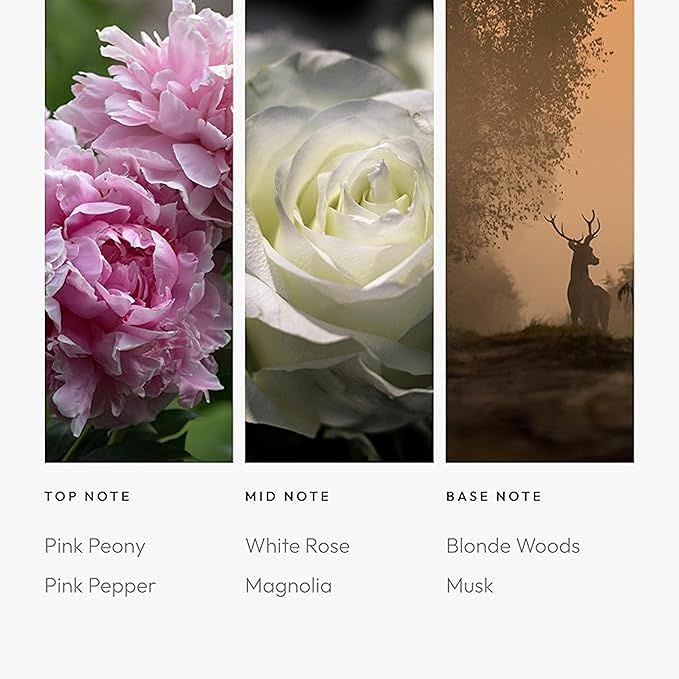 Aroma360 Timeless 50mL