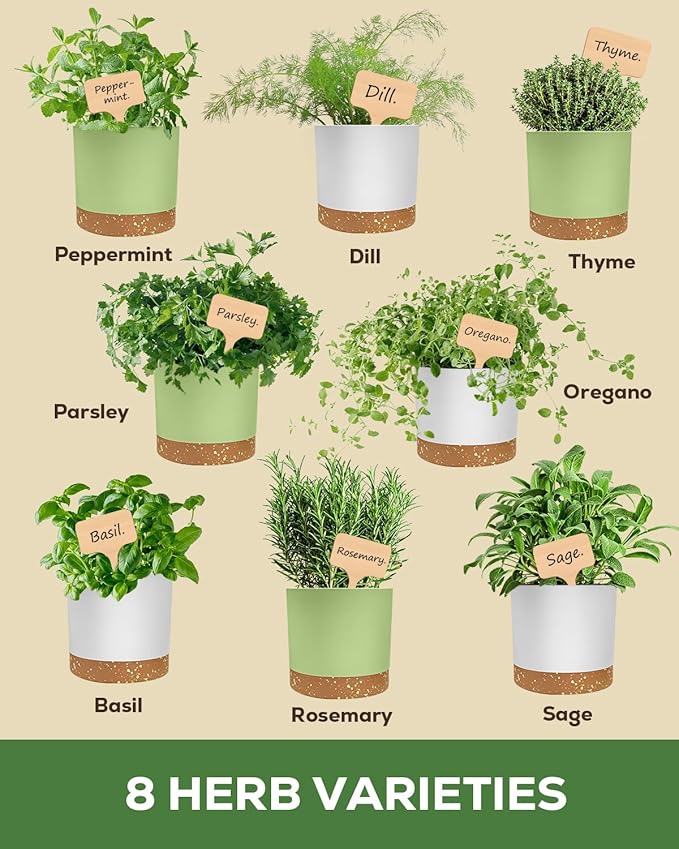 8 Herb Garden Kit - Non-Toxic BPA-Free Pots, Organic Seeds & Complete Growing Set - Elegant Indoor Herb Planter for Kitchen, Unique Housewarming & Birthday Gifts for Women, Mom, Retirement