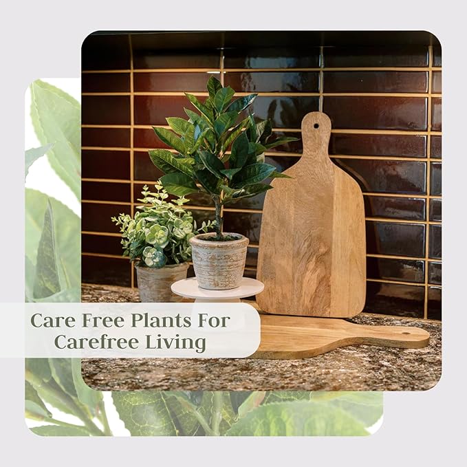 Faux Eucalyptus & Citrus Topiary, Set-of-2 Premium Artificial Indoor Plants, Enhances Interior Design, Lifelike-Leaves Create Realistic Natural Appearance, Grey Planter Pot Included