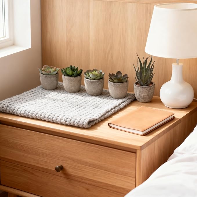 Set of 5 Artificial Succulent Plants in Pots - Lifelike Fake Succulents for Desk Decor, Low-Maintenance Home & Office Decor Gift