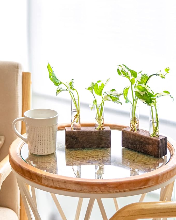 Ivolador Plant Propagation Stations 4 Test Tube Plants Terrariums in Wooden Stand Gifts for Plant Lovers for Hydroponic Plants Office Home Decor Hydroponic Vase Gift Box 2 Sets