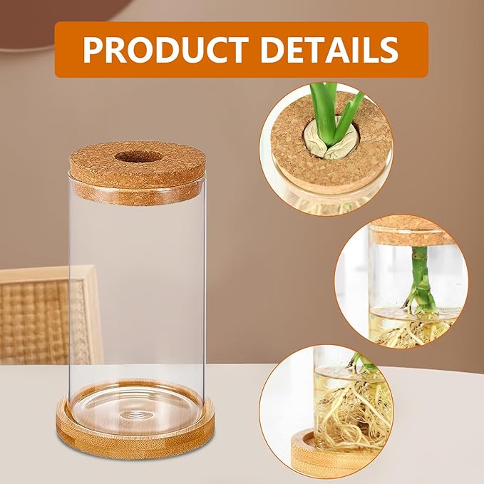 6 Pcs Plant Propagation Terrarium Glass Propagation Vase Containers with Cork and Wooden Saucer for Hydroponic Plants Tabletop Decoration Jars for Plants (2.56 x 4 Inch)