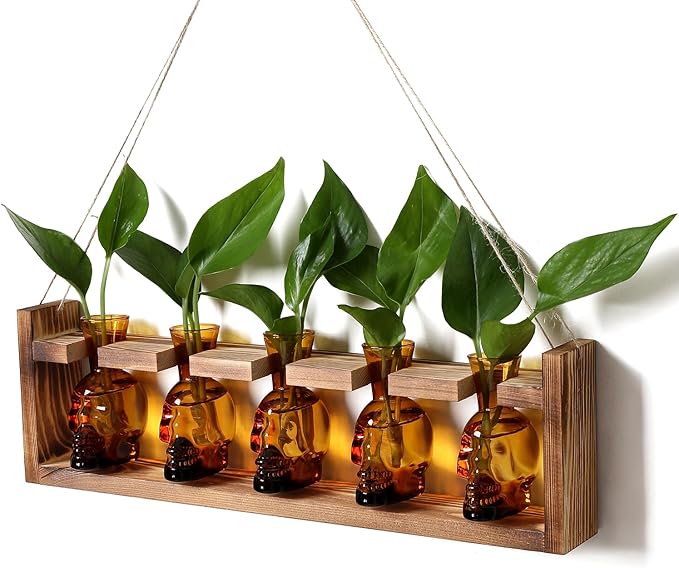 Plant Terrarium Propagation Stations Halloween Skull Planter Vase Skulls Decor with Wooden Stand Gife for Father - 5 Vases