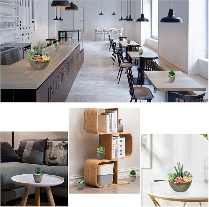 Succulents Plants Artificial Set of 5, Realistic Fake Succulents with Cement Like Pots for Home Office Decoration.