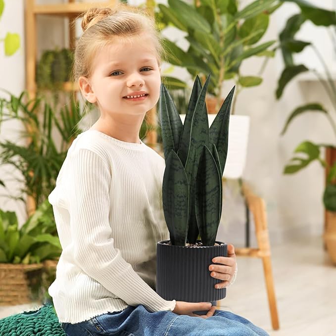 Artificial Plants Sansevieria Snake Plant with Black Ceramic Pot Desk Small Fake Plant for Indoor Living Room Kitchen Bathroom Farmhouse Home Decor