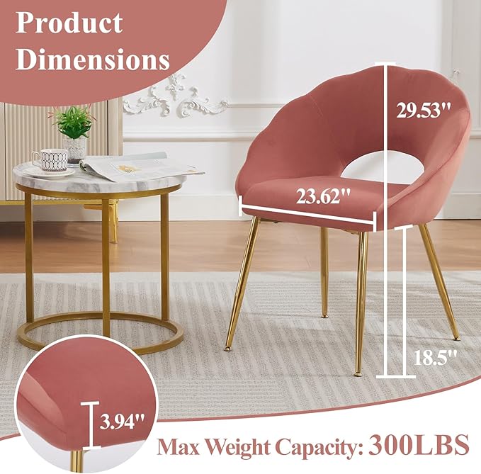 Modern Small Accent Chair Set of 2, Comfy Velvet Vanity Chair with Shell Back & Golden Metal Legs, Decorative Chair no Wheels for Living Room, Makeup Room, Bedroom, Pink