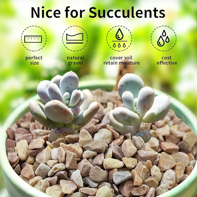 2 lbs Pea Gravel - 3/8 Inch Small Pebbles Rocks for Indoor Plants, Succulents, Cactus, Fish Tank, Terrarium, Landscaping and Decorative Stones(32 oz, 6-9 mm)