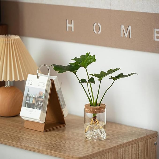 6 Pcs Plant Propagation Terrarium Glass Propagation Vase Containers with Cork and Wooden Saucer for Hydroponic Plants Tabletop Decoration Jars for Plants (2.56 x 4 Inch)