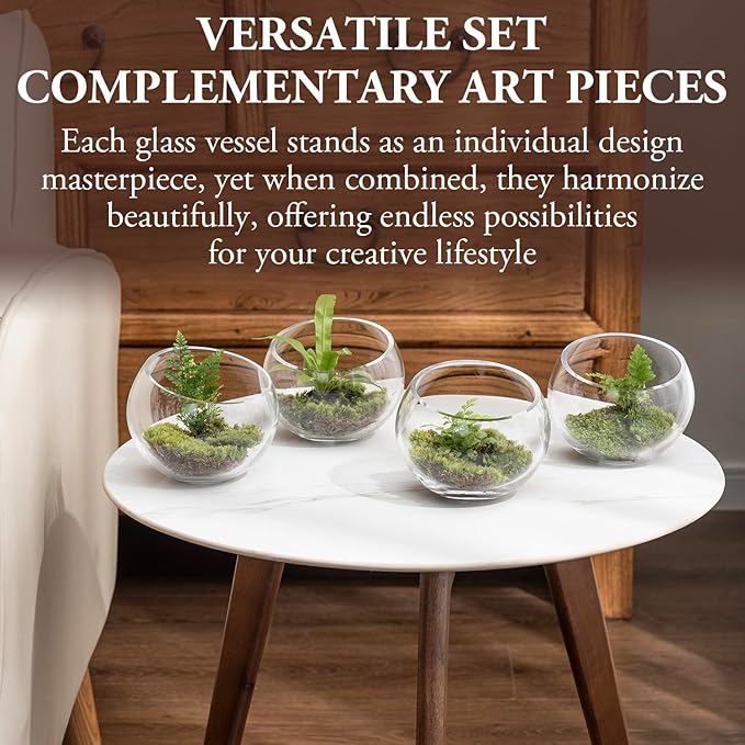 MyGift Premium Hotel Series 5 Inch Round Clear Glass Air Plant Terrariums, Mini Candy Bowl Jars, Tealight Candle Holders, Succulent Cactus Vases, Set of 4