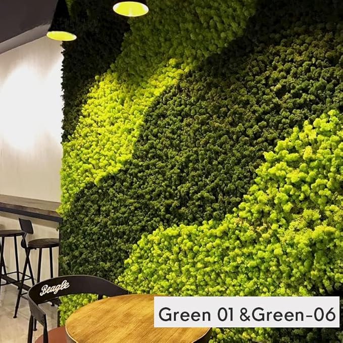 Preserved Reindeer Moss Natural Green DIY Kit Gardenning Art Wall Decor Florist Decor Easter Table Decor Wedding