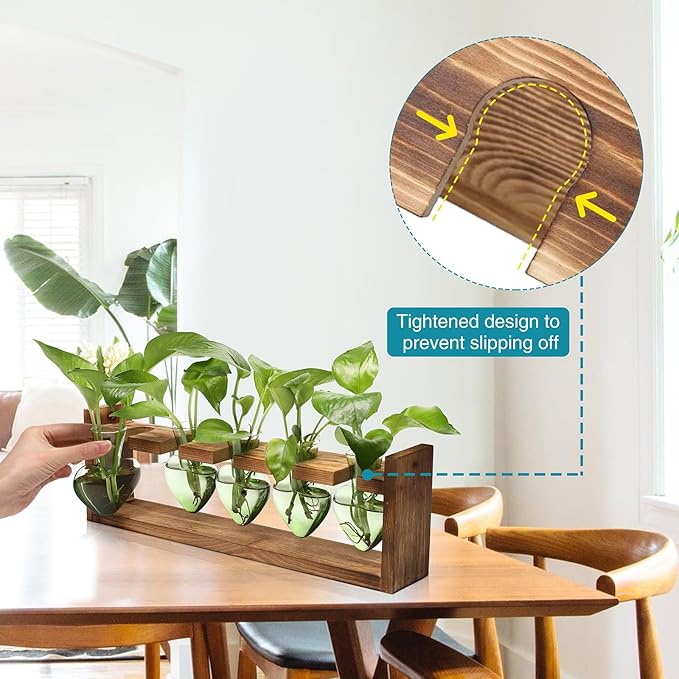 Plant Terrarium Hanging Propagation Stations Gift for Women Plant Lover air Plant Holder with Wooden Stand Heart Glass