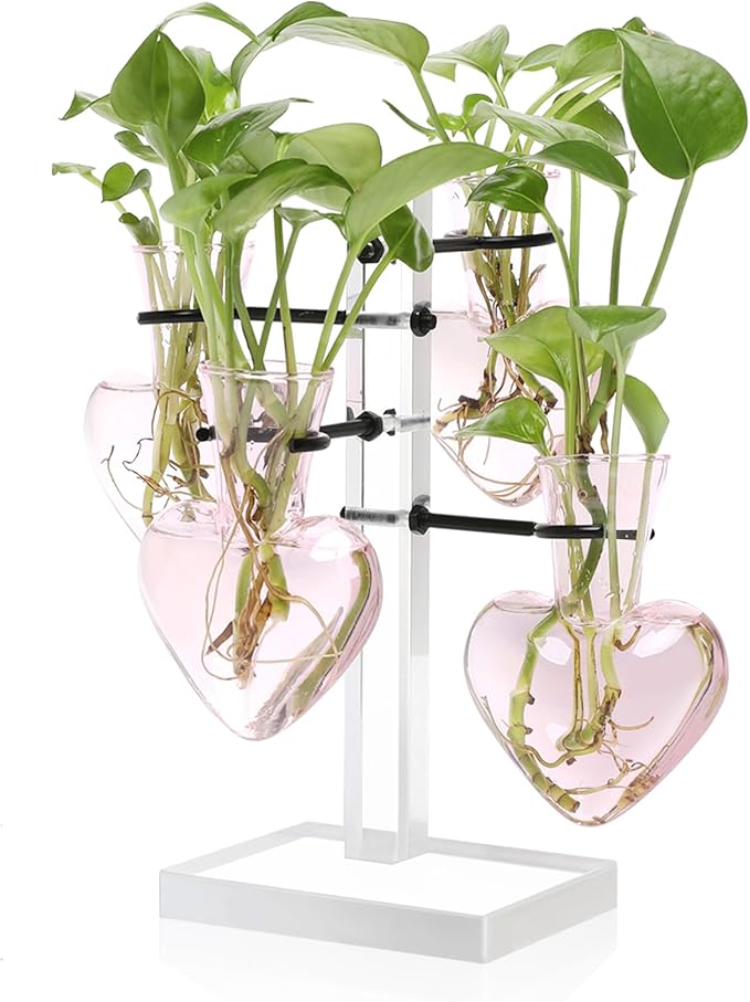 Plants Propagation Stations Plant Terrarium Kit Gift for Women Birthday Glass Planters for Indoor Plants Home Office Decor Acrylic Plant Accessories - 4 Love Hear Vase