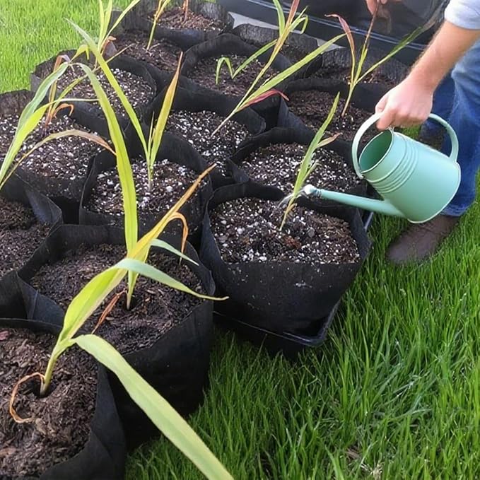 gardtree Plant Nursery Bags 5.5" * 6.3" 400PCS, Non-Woven Plant Grow Bags Fabric Seedling Starter Bags for Vegetable Flower Fruit Saplings Tree, Home Garden Supply