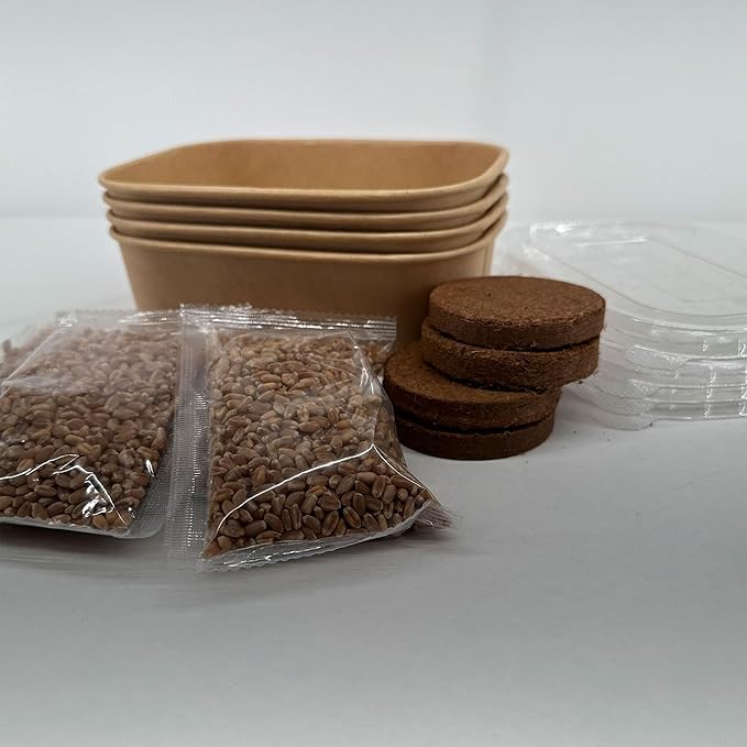 Organic Wheatgrass Cat Grass Premium Grow Kit 4 Pack | 100 % Wheatgrass Seeds Non‑GMO Seeds for Cats & Humans