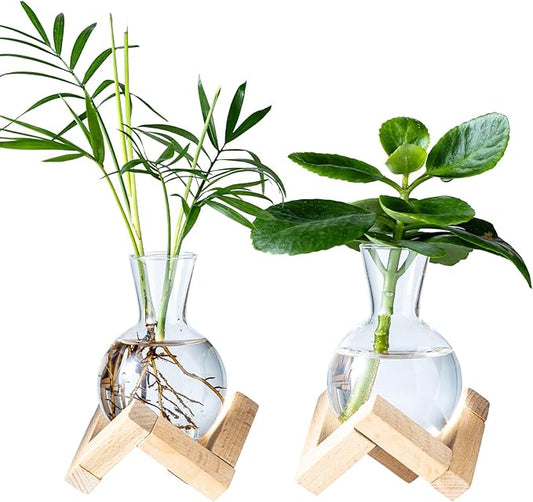 Propagation Stations, Propagation vases with Wooden Stand, Small Tabletop Glass Bulb Vases for Hydroponics Plant Propagation Station Home Office Decoration, Gift for Women Plant Lovers (2)