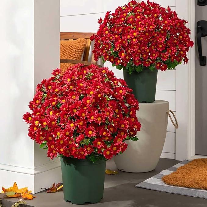 Funsdecor Mums, Artificial Sunset Mums, Artificial Outdoor Sunset Mums Flowers - UV Resistant, Waterproof, Windproof, Fake Fall Flower Daisy with Eucalyptus, Look Real, Full, Vibrant (5 Bundle Red)