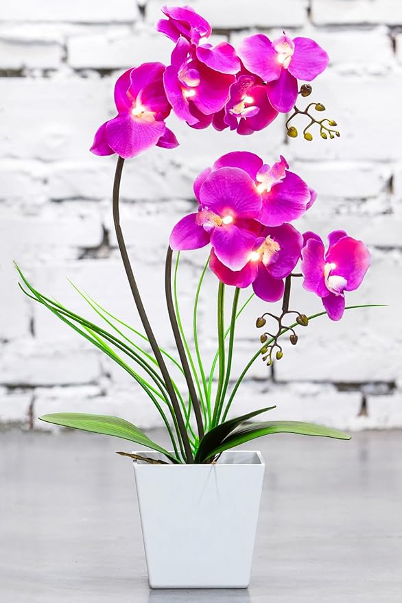 HOMESEASONS Orchid Lamp-LED Lighted Orchid Arrangements,Pre Lit Artificial Orchid,Light Up Flower Lights, Faux Orchid Phalaenopsis Arrangement (Purple)