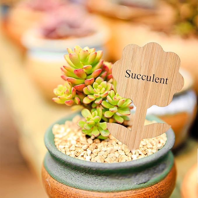 Elsjoy 90 Pack Bamboo Plant Labels, 9 Styles Cute Plant Tags Garden Markers, Wooden Garden Labels for Seeds, Herbs, Vegetables, Gifts