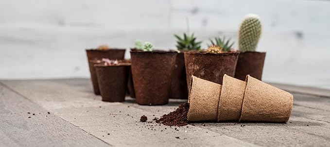 Daniel's Plants 4" Naked Pots | Large Natural Plantable Seed Starter Pots | OMRI-Listed Biodegradable for Seedlings | Enhanced Aeration | Earth Friendly - Peat Free | 30 Pack 4 Inch Round