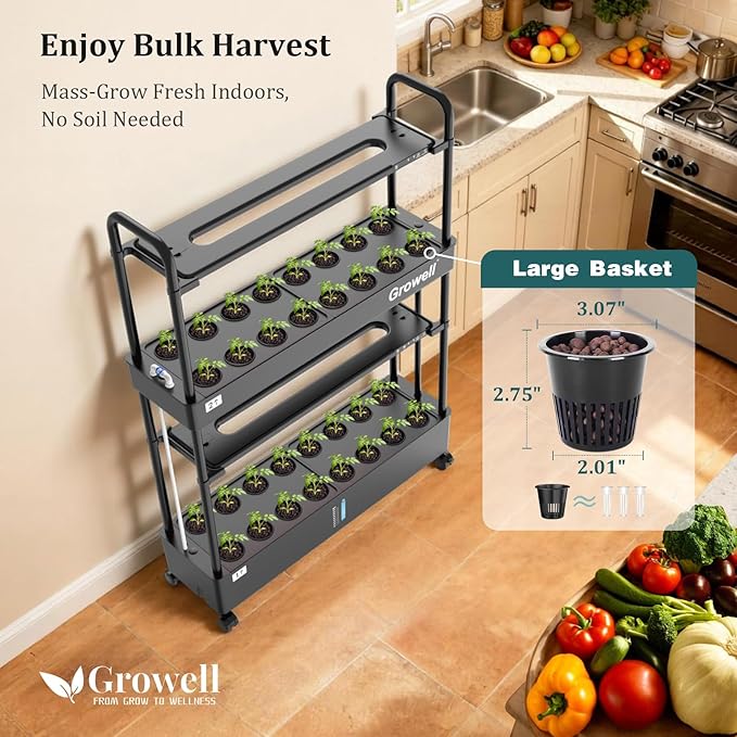 Large Basket Hydroponics Growing System Kit, 32 Pods Vertical Hydroponic Garden with 2 Grow Light Modes, Auto Circulating Water System, 32L Indoor Gardening System for Herb Vegetable Fruit