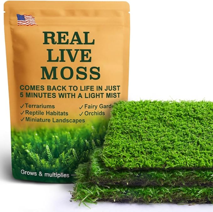 Live Moss – Eurohypnum Moss (3 Sheets, Each Approx. 3.5"x7") for Terrariums, Moss Gardens, Potted Plants & Natural Decor – Naturally Grown, Reusable, Not Artificial