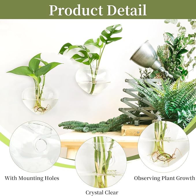 XXXFLOWER Wall Hanging Glass Terrariums，Clear Planters Propagation Station Glass Flower Vase,Air Plant Terrariums for Hydroponic Plants,Home Office Decor,Gifts,Heart-Shaped Set of 2