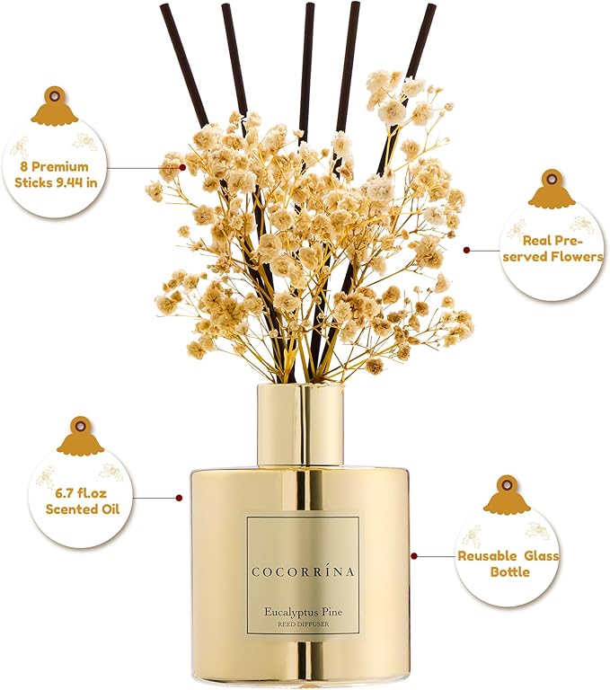 COCORRÍNA Reed Diffuser - Eucalyptus Pine Diffuser with 8 Sticks Home Fragrance Christmas Reed Diffuser for Bathroom Shelf Decor Home Decor