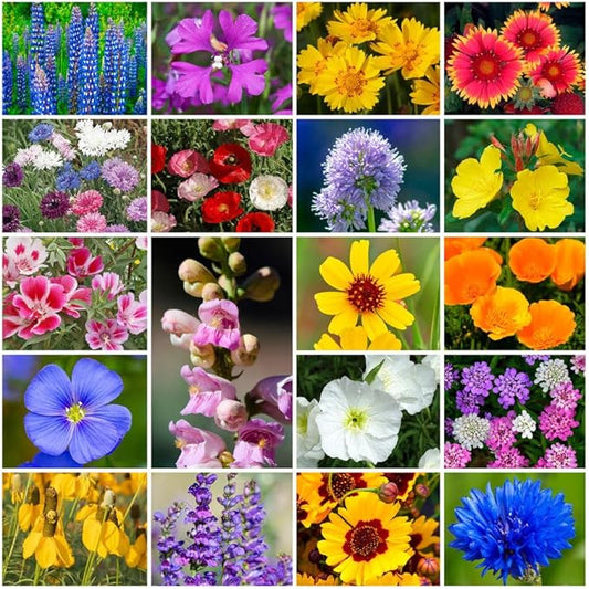 Park Seed Grow Your Own Vibrant Annual and Perennial Wildflower Garden Seeds Mixture, Easy to Grow Varieties for Pollinators and Spring Gardens - Western Regional Mix, 25 lbs