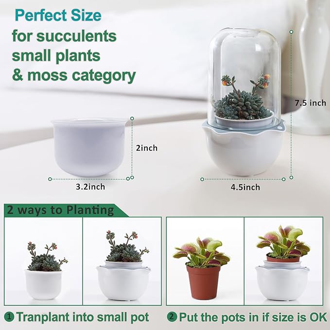 Smart Venus Fly Trap Terrarium Pot with Timer&Fan, Carnivorous Plant Pot with Grow Light, Plant Terrarium Kit for Butterwort, Christmas Birthday Gifts for Women Garden Lover (No Plant)