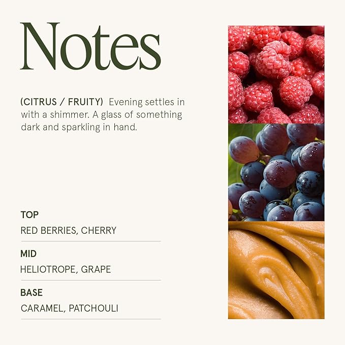 LA JOLIE MUSE Dark Berries & Bergamot Scented Candles, 19 oz Large Glass Jar Candle, Candle Gifts for Women&Men, Natural Soy Candles for Home, 90 Hours Long Burning Time