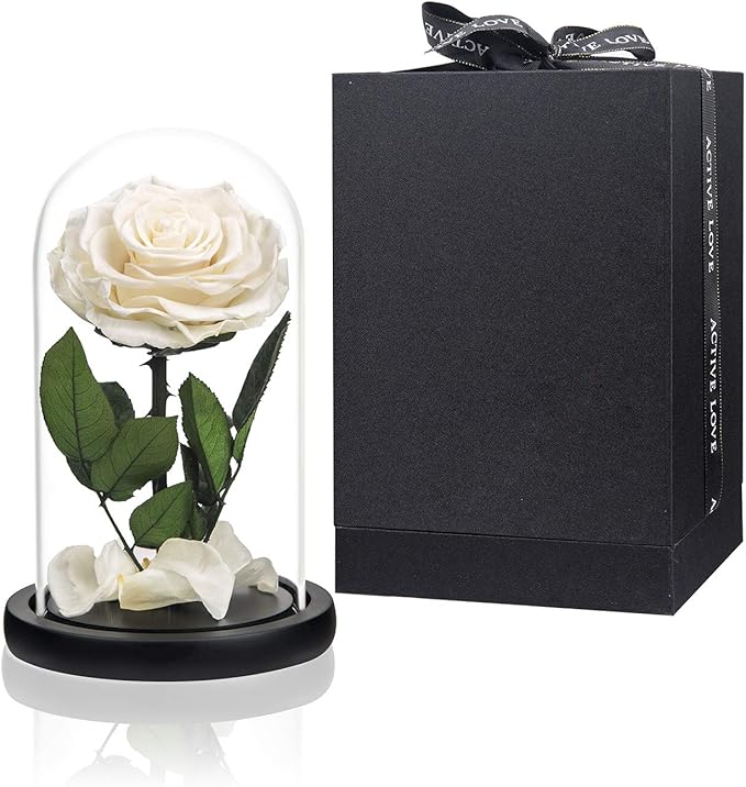 Preserved Flowers White Roses in Glass Dome, Preserved Rose Never Withered Flower Gifts for Her, Mother's Day, Birthday Gifts for Women