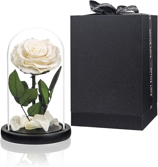 Preserved Flowers White Roses in Glass Dome, Preserved Rose Never Withered Flower Gifts for Her, Mother's Day, Birthday Gifts for Women