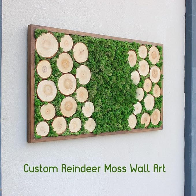 Preserved Reindeer Moss Natural Green DIY Kit Gardenning Art Wall Decor Florist Decor Easter Table Decor Wedding