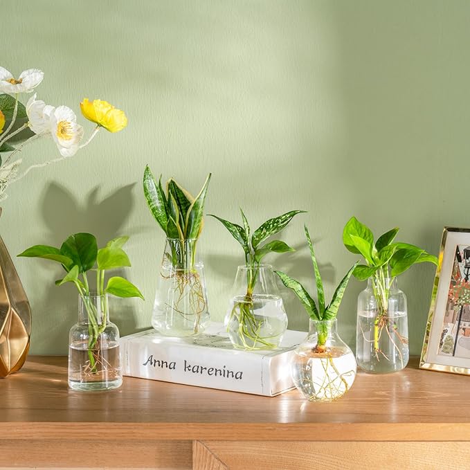 Mkono Propagation Vases for Plants, Set of 5 Small Glass Jar Planters for Hydroponic Cutting Flowers, Plant Station Bud Vases for Centerpieces Home Office Decor Gift