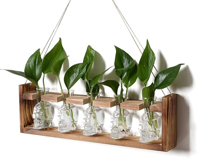 Plant Terrarium Propagation Stations Halloween Skull Planter Vase Skulls Decor with Wooden Stand Gife for Father - 5 Vases