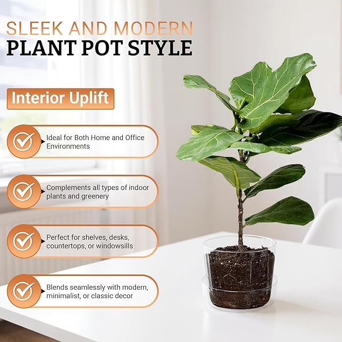 Sheer Glass Pot Planter with Drainage Holes & Tray - Decorative & Modern for All House Plants (4 Inches)