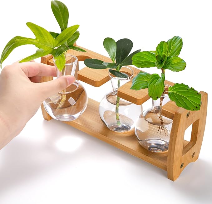 2 Pack Plant Propagation Stations, Desktop Plants Terrarium with Wooden Stand, Water Propagation Station, Hydroponic Plant Vase with 8 Glass Bulbs, Small Propagated Plants Jar for Home Office