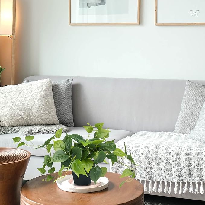 LOYWREE Artificial Scindapsus Aureus Fake Pothos Plants in Black Pots - Realistic Faux Indoor Greenery for Home, Office, Desk, Shelf, Living Room, Bedroom, Balcony, Patio & Garden Decor