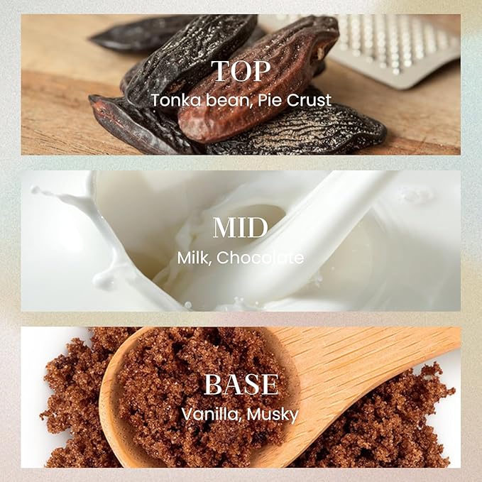 M&SENSE 6.8 oz Large Reed Diffuser Set | Creamy Vanilla Scent Oil Diffuser with Sticks | Hotel Collection Non-Toxic Essential Oil |for Bedroom Bathroom Living Room