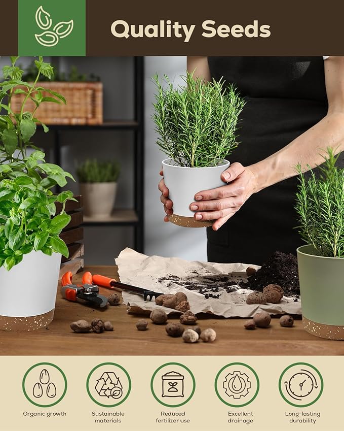 8 Herb Garden Kit - Non-Toxic BPA-Free Pots, Organic Seeds & Complete Growing Set - Elegant Indoor Herb Planter for Kitchen, Unique Housewarming & Birthday Gifts for Women, Mom, Retirement