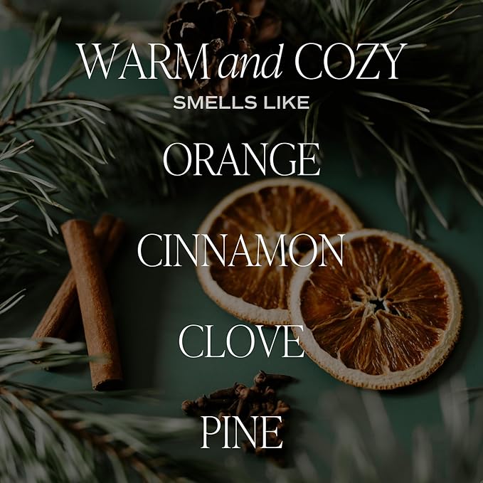 Sweet Water Decor Warm and Cozy Reed Diffuser Set - Orange, Cinnamon, Clove, and Pine Winter Scented Diffuser - Scent Diffusers for Home, Long Lasting Fragrance, Made in The USA