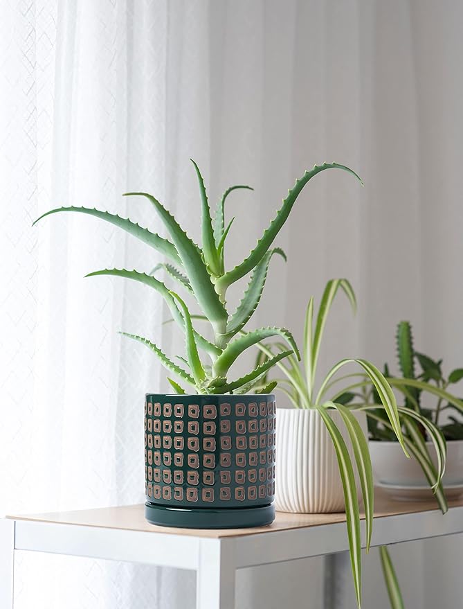 D'vine Dev Set of 2 Ceramic Planter Pots with Drainage Hole and Saucer, 4.5 Inch 6 Inch Plant Pots for Plants Indoor Houseplants, Green, 99-A-4