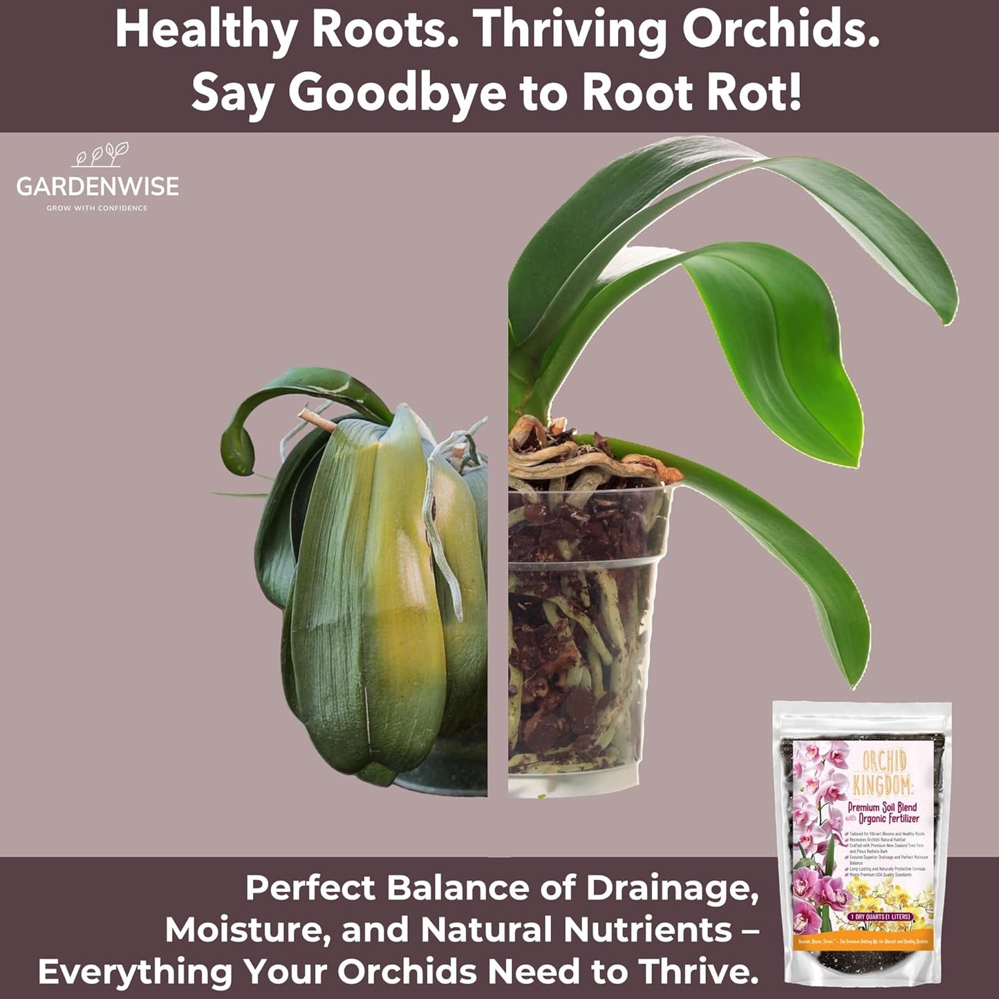 Orchid Potting Mix – Orchid Bark, Sphagnum Moss, Tree Fern & Perlite for Repotting Phalaenopsis Orchids, Indoor Plants, Orchid Soil Medium – Sustrato para Orquídeas (10 Quart)