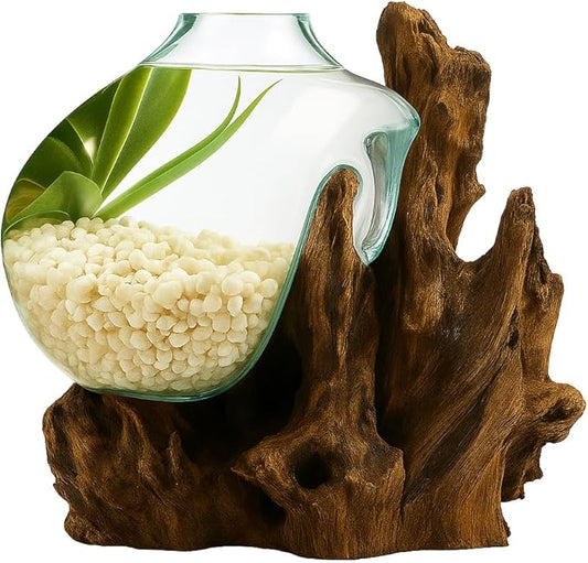 OMA Hand Blown Molten Glass on Driftwood Terrarium Vase or Planter – Recycled Glass & Natural Wood for Coastal & Boho Home Décor (12"–14" High)